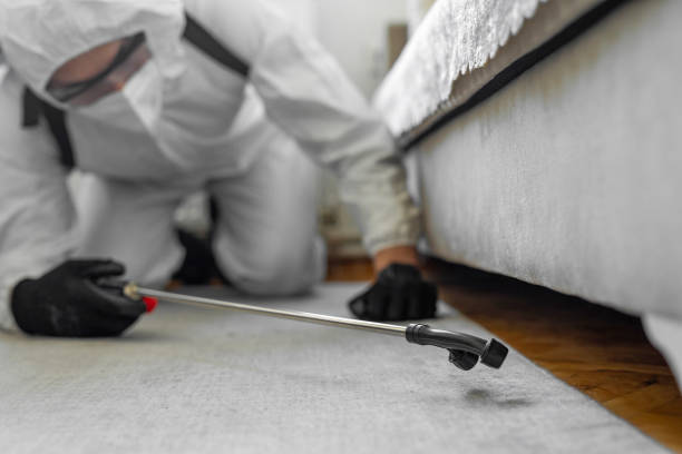 Professional Bed Bug Control technician working in West Wareham, MA