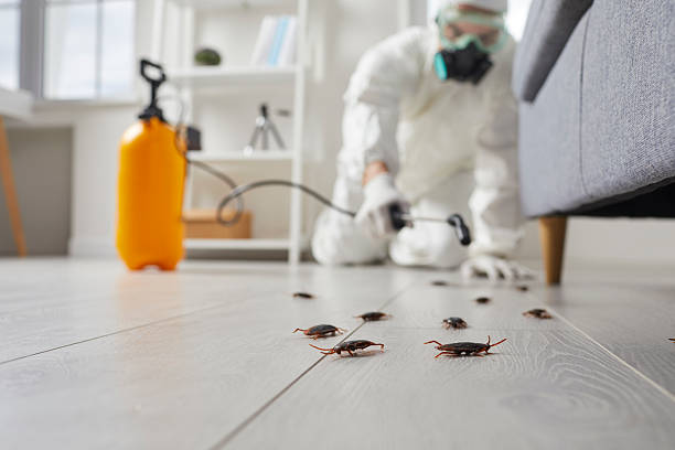 Trusted Fumigation Services service in West Wareham, MA - Nex Pest Control