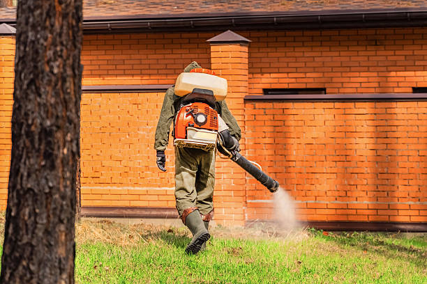 Trusted Bed Bug Control service in West Wareham, MA - Nex Pest Control